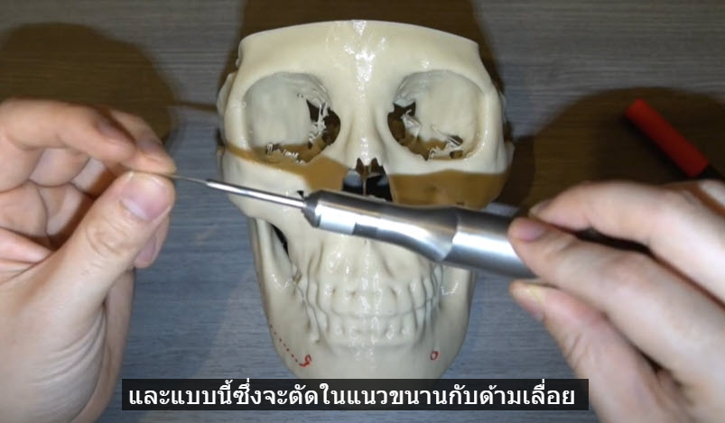เลื่อยตัดกราม
