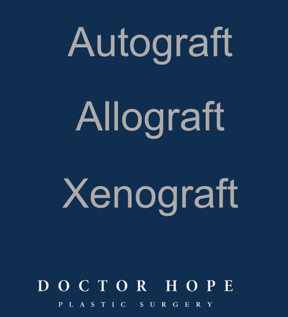 Autograft, Allograft และ Xenograft